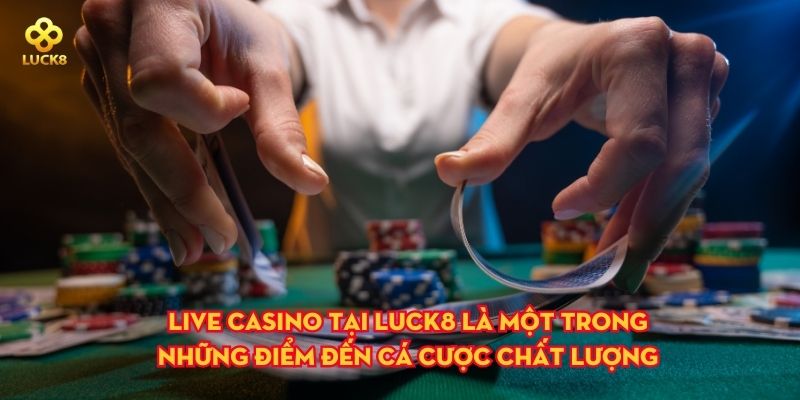 Live casino tại Luck8 là một trong những điểm đến cá cược chất lượng